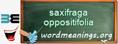 WordMeaning blackboard for saxifraga oppositifolia